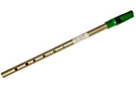 Private Tin Whistle Lessons Near You